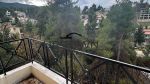 Μονοκατοικία 250τ.μ. | Διόνυσος